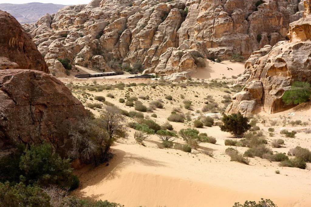 Ammarin Bedouin Camp Hotel Wadi Musa Exterior photo