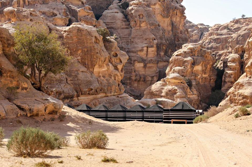 Ammarin Bedouin Camp Hotel Wadi Musa Exterior photo