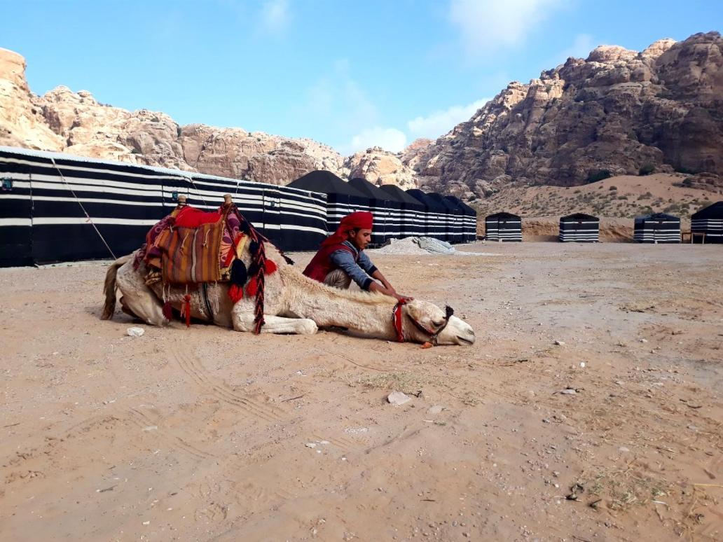 Ammarin Bedouin Camp Hotel Wadi Musa Exterior photo